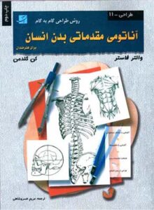 آناتومی مقدماتی بدن انسان(آبان)